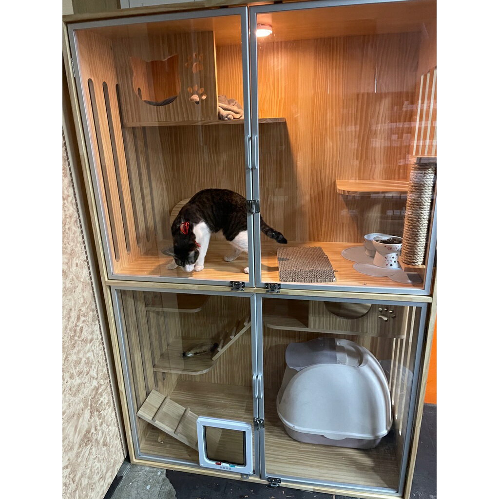 【台灣現貨】豪華貓別墅 家用二層雙層超大貓房子 防水實木貓籠 大貓籠子 實木貓櫃子 貓屋貓窩貓櫃 貓舍貓公寓 3