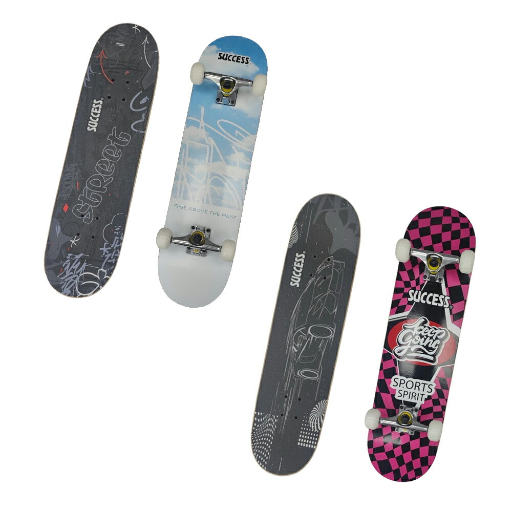 成功 教學用滑溜板 街頭款/賽車款 /台 S0308A / S0308B