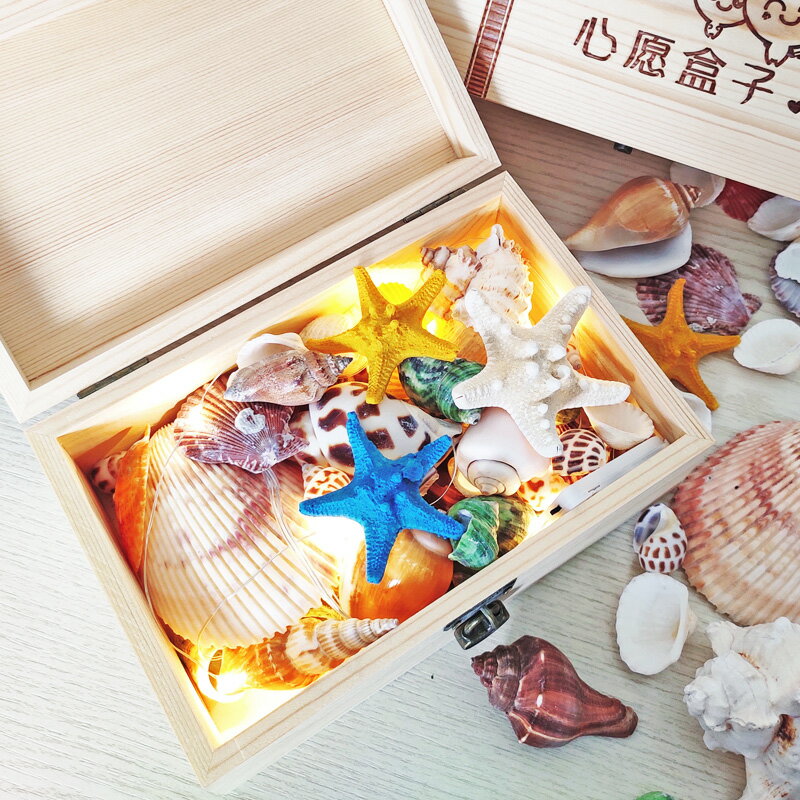 天然貝殼海螺海星套裝木盒禮盒裝婚禮拍照裝飾創意生日禮品禮物