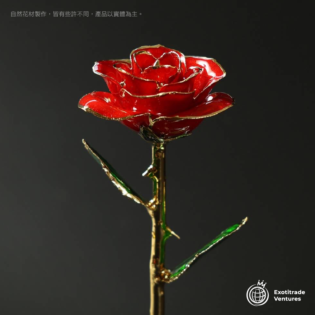 24K金 永恆鍍金珍藏玫瑰_紅色 1