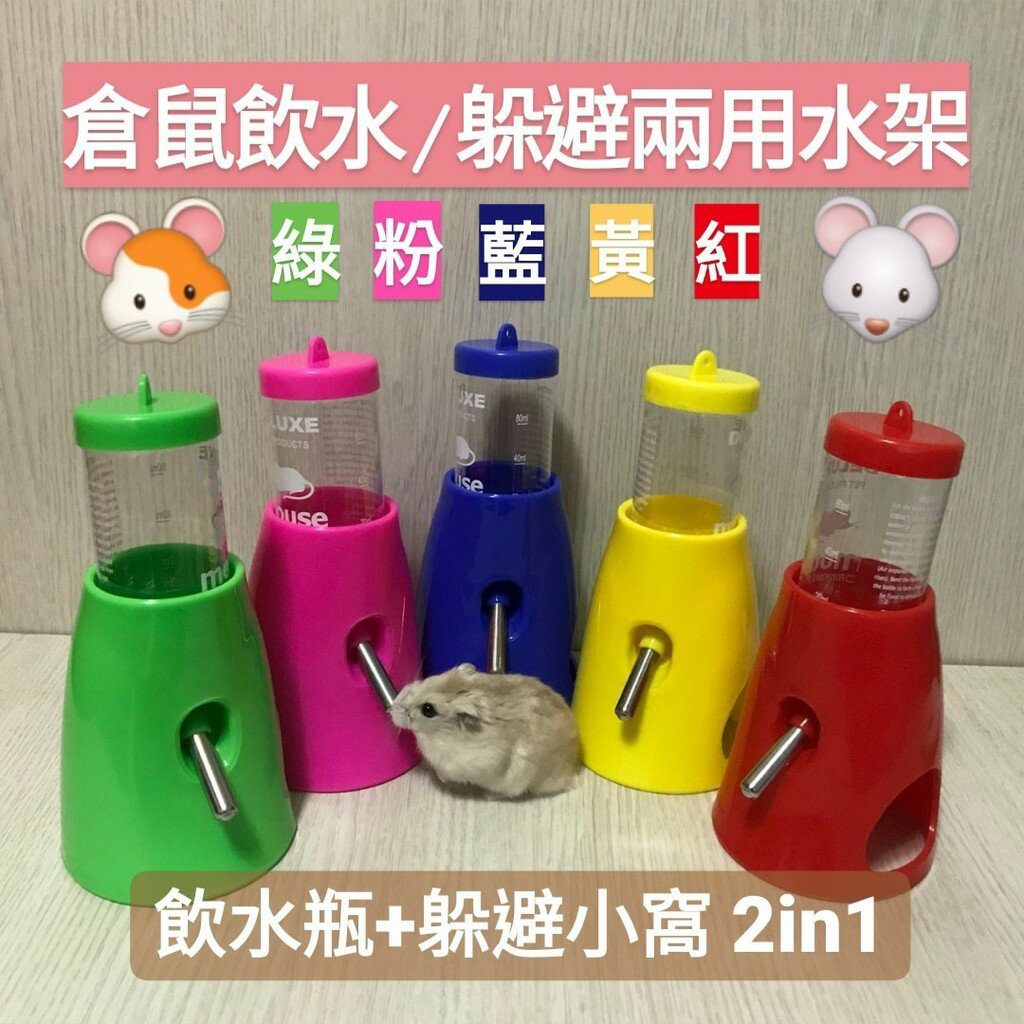 【鼠勾乙】 Carno卡諾 二合一飲水躲避屋 倉鼠飲水架 降溫躲避小窩 滾珠飲水瓶