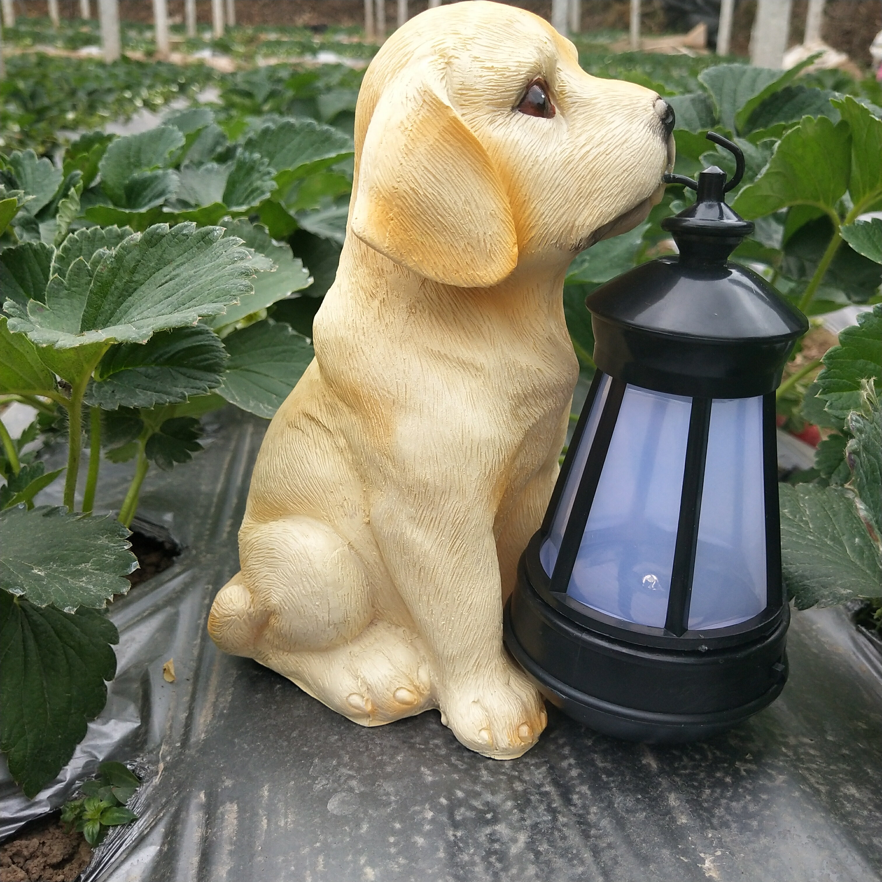 庭院裝飾花園擺件小狗太陽能燈戶外燈園林景觀別墅模擬動物雕塑