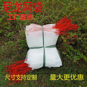 限時特賣 尼龍網紗袋防蟲防鳥專用網袋種子袋浸種袋水果網袋火龍果黑套網袋