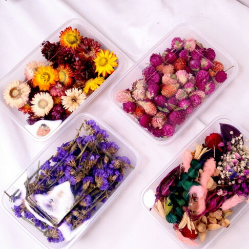 Diy天然乾燥花植物果實花藝材料包拍照道具浮游花永生花浮油花乾花灑花花瓣 Bluecat Ri2579 Bluecat直營店 樂天市場rakuten Diy天然乾燥花植物果實花藝材料包拍照道具浮游花永生花浮油花乾花灑花花瓣 Bluecat Ri2579 Bluecat直營店 樂天市場rakuten