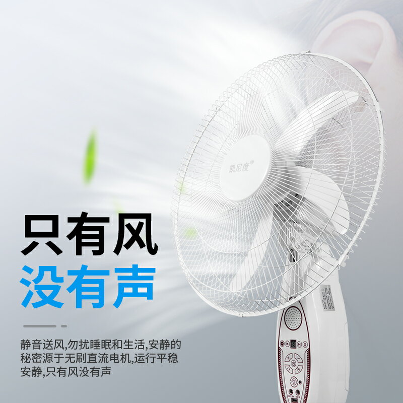 {可打統編 保固一年}18寸充電風扇超長續航大風力太陽能戶外大電池便攜式大功率落地扇 3