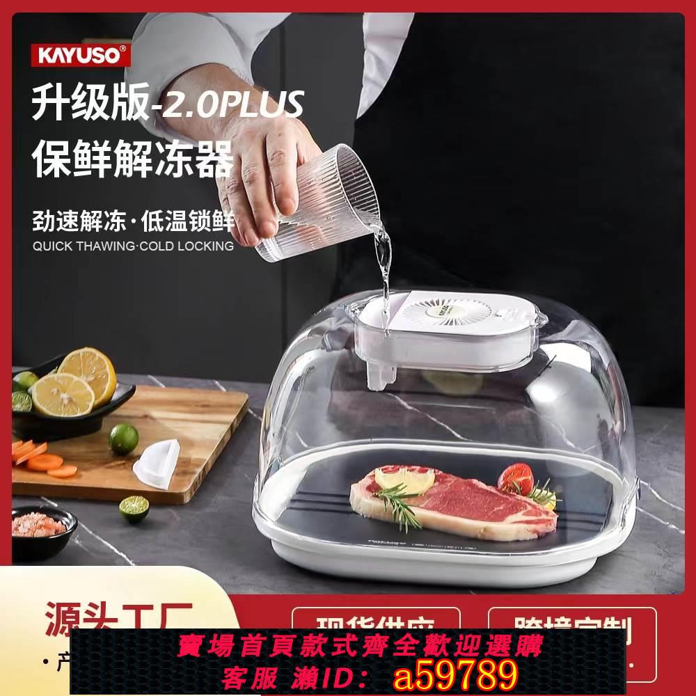 【臺灣公司 可打統編】KAYUSO廚房家用食品解凍器牛排快速解凍器便攜解凍板（源頭廠家）