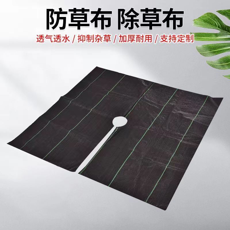 公司貨 最低價 免運 防草布除草布切片打孔果樹蓋草布庭院花園抑草蓋草除草布打孔切片