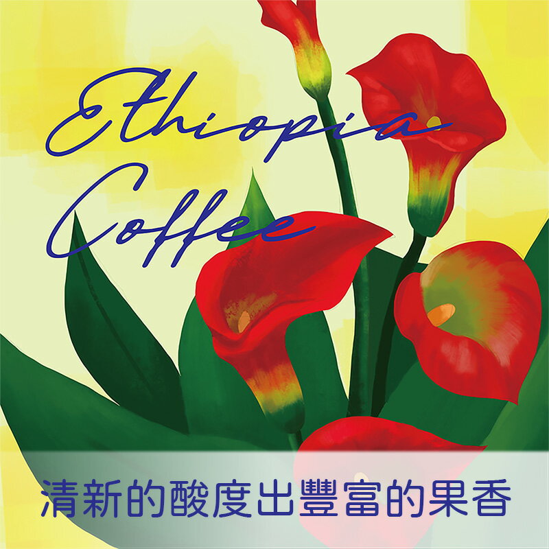 衣索匹亞 希達馬  班莎鎮 薩佳拉   黑騎村 水洗 G1【Nikkoffee日光咖啡】