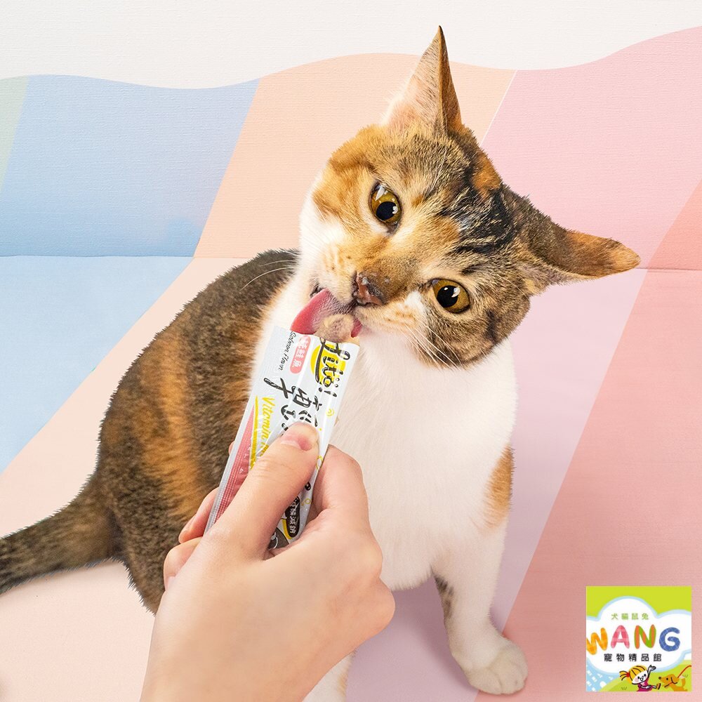 LitoMon 怪獸部落 LITÖ! 輕肉泥 10g×4條 維他命機能PLUS 貓肉泥『🐶🐱Ayumi』【全館滿額現抵450★週五10%點數回饋!!】請注意 部分出貨時間較長 6