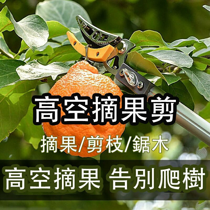 高空高枝剪 不銹鋼修枝剪刀 果枝剪 伸縮摘水果 不鏽鋼摘果剪 摘水果採摘器 自由伸縮摘果器 樹木摘果剪 採果器