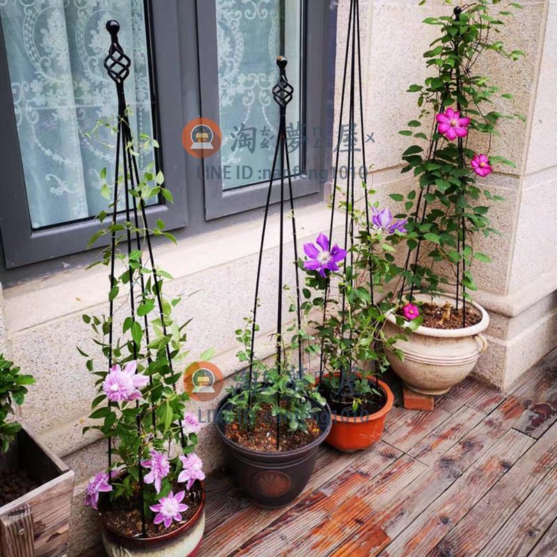 鐵藝爬藤架月季鐵線蓮園藝花架 花盆支架室內花卉支撐桿【淘夢屋】