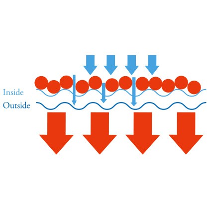 日本製 CAFEC 三洋 淺焙 中深焙 Hario V60 對應 1-4人份 100入 手沖 咖啡 錐形濾紙 濾紙 6