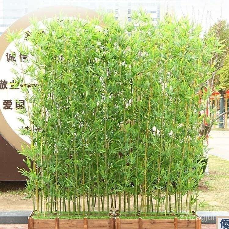 免運 裝飾 朔料花 裝飾 模擬竹子 假竹子 室內裝飾 仿真植物 隔斷 屏風 室外盆栽 造景 帶梢細毛竹 全館八折 工廠直銷 店長推薦 y5614