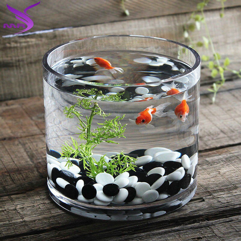 桌面玻璃魚缸加厚玻璃超白小魚缸水培器皿花瓶綠蘿一體魚缸不漏水1入