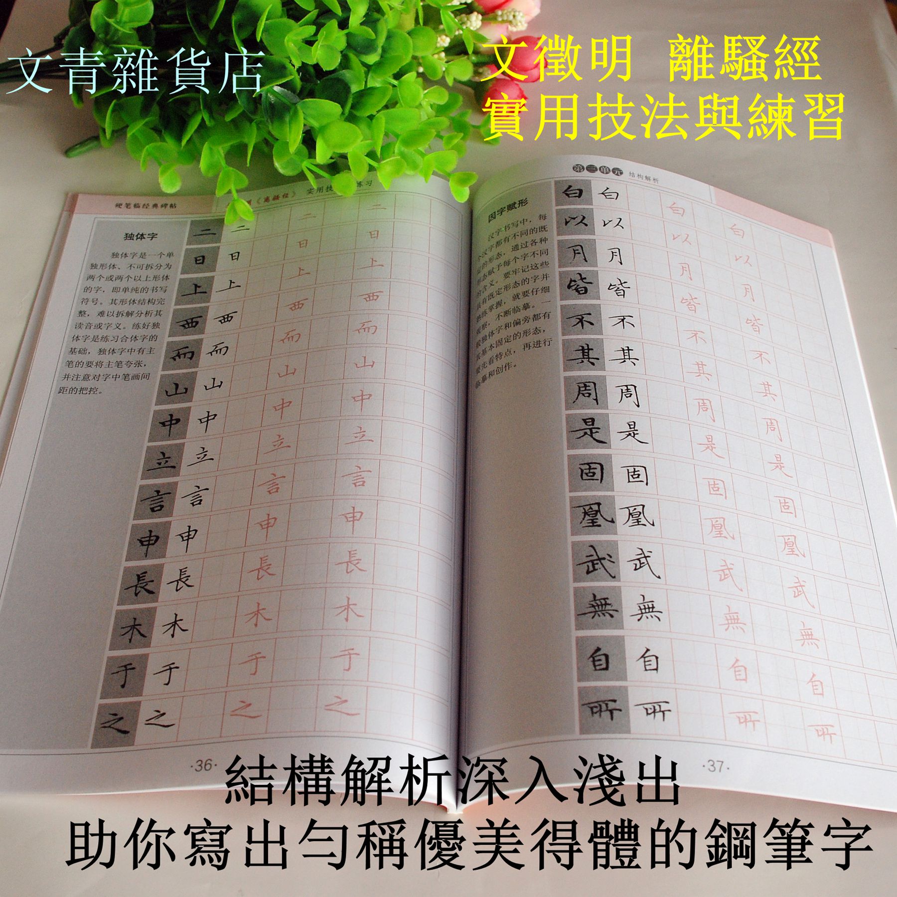 文青雜貨店硬筆書法新帖《文徵明 離騷經實用技法與練習》行楷鋼筆字全攻略！好好練讓您出手便是讚嘆~~勤練價199元 5