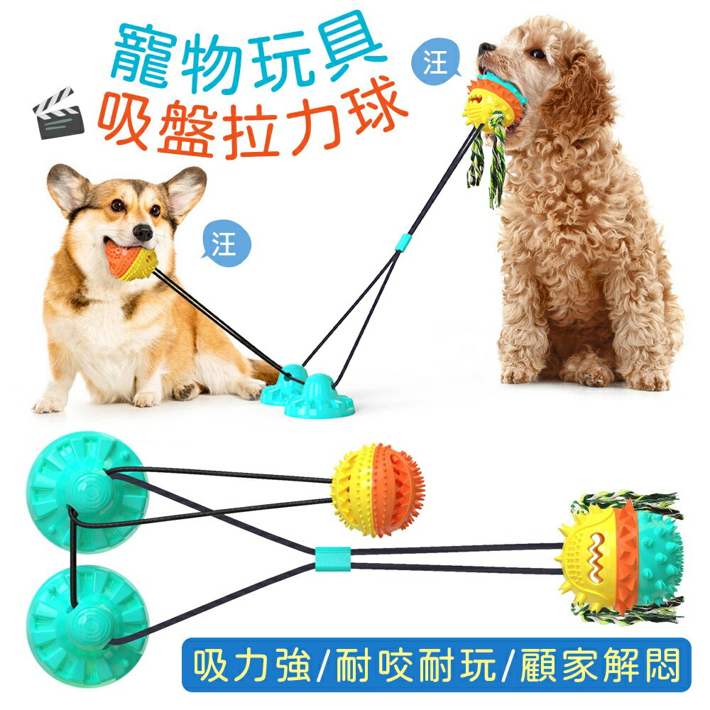 寵物玩具 寵物拉環(顏色隨機)