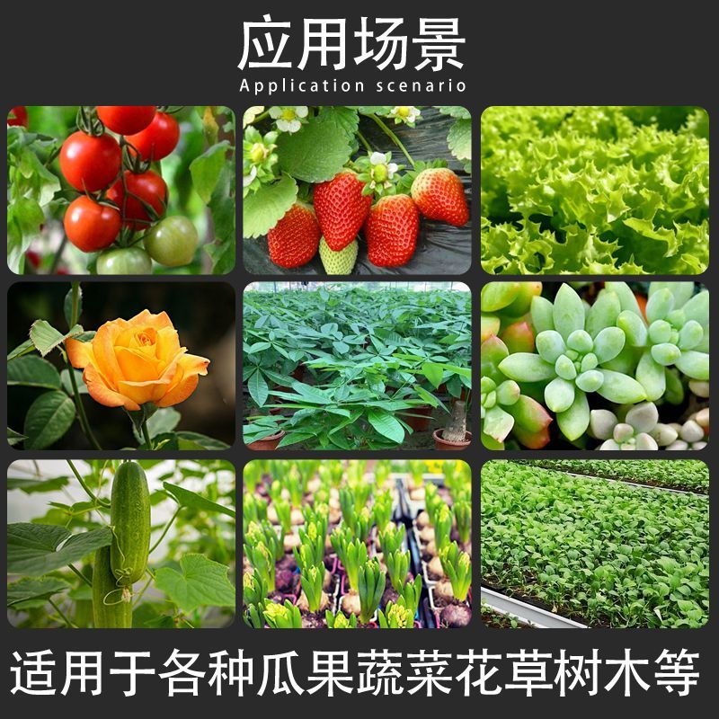 【台灣公司 超低價】800太陽能植物生長燈全光譜花卉肋長開花多肉上色防雨植物補光燈 4