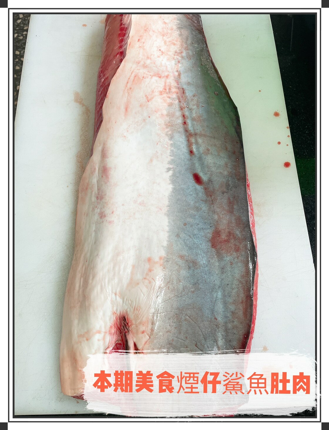 【天天來海鮮】鯊魚肚肉/600克/塊/真空包裝