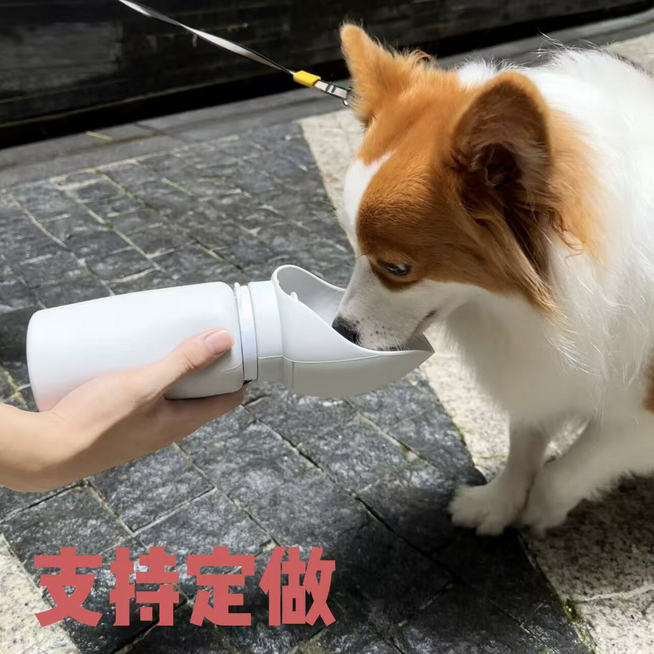 寵物用品狗狗水杯外出戶外旅行可折疊水壺遛狗用飲水器食品級矽膠