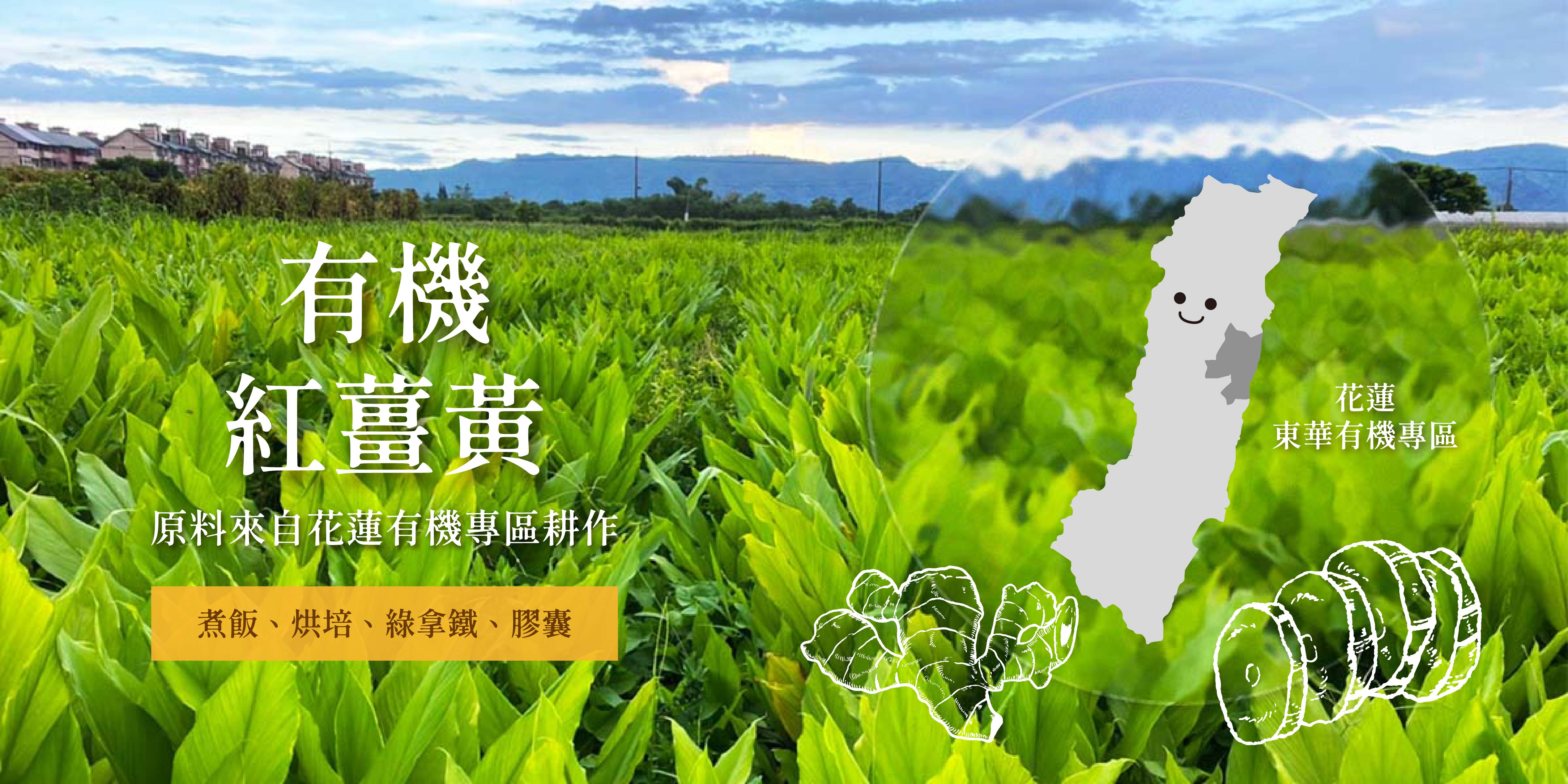 淺草堂 - 限時優惠好康折扣