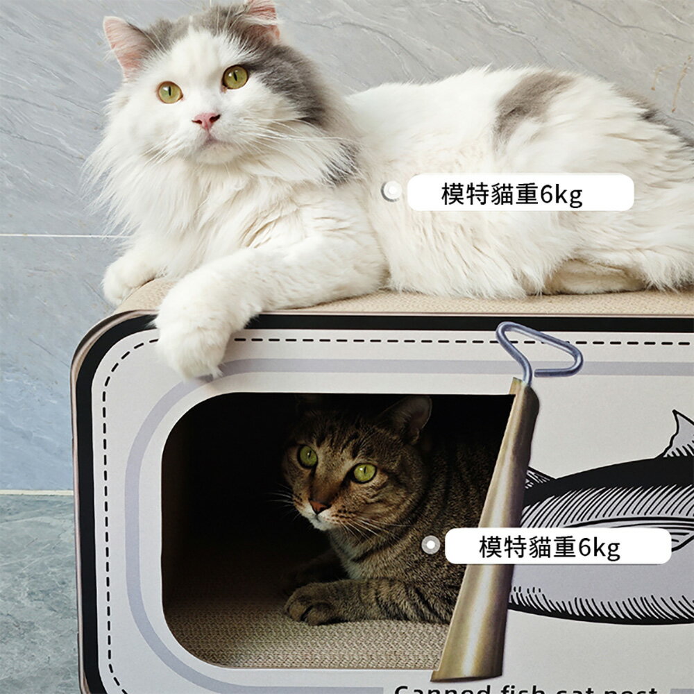 【台灣現貨】爆款罐頭貓抓板 貓咪坐墊 貓玩具 貓窩磨爪 耐磨耐用高密度貓咪磨爪板 三種顏色可選黃色/灰色/粉色 5