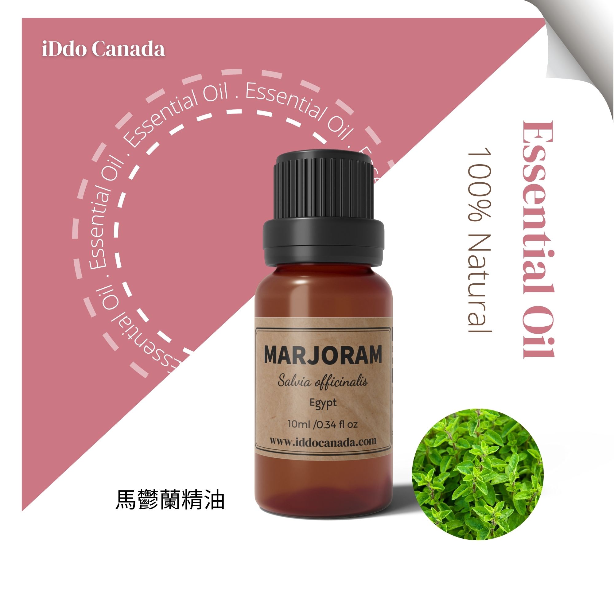 芳療師嚴選 單方精油 -馬鬱蘭10ml