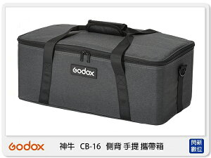GODOX 神牛 CB-16 側背 手提 攜帶箱 配件收納 適VL系列攝影燈 CB16 (公司貨)【跨店APP下單最高20%點數回饋】