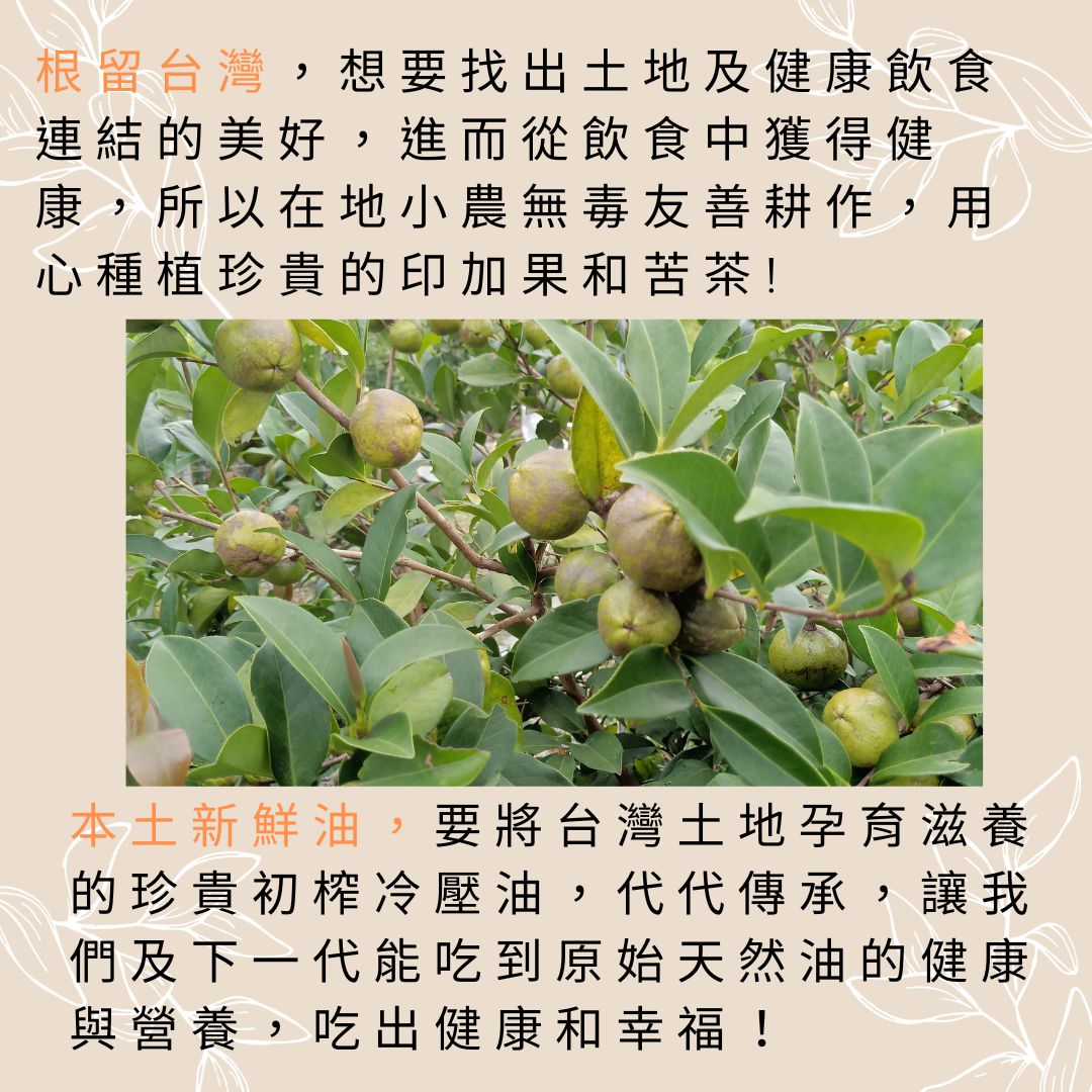 2023年11月鮮採現壓 年代推薦惠寅本土冷壓白花大果苦茶油300ML 生酮飲食油 獨家技術冷壓保留維生素 角鯊烯 單元不飽和脂肪酸 生飲級 新鮮現壓 1