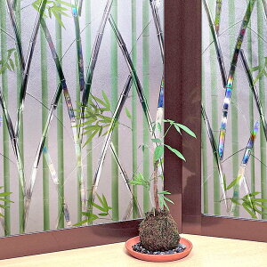 日本MEIWA抗UV可變色靜電窗貼 (竹林風情) - 46x100公分