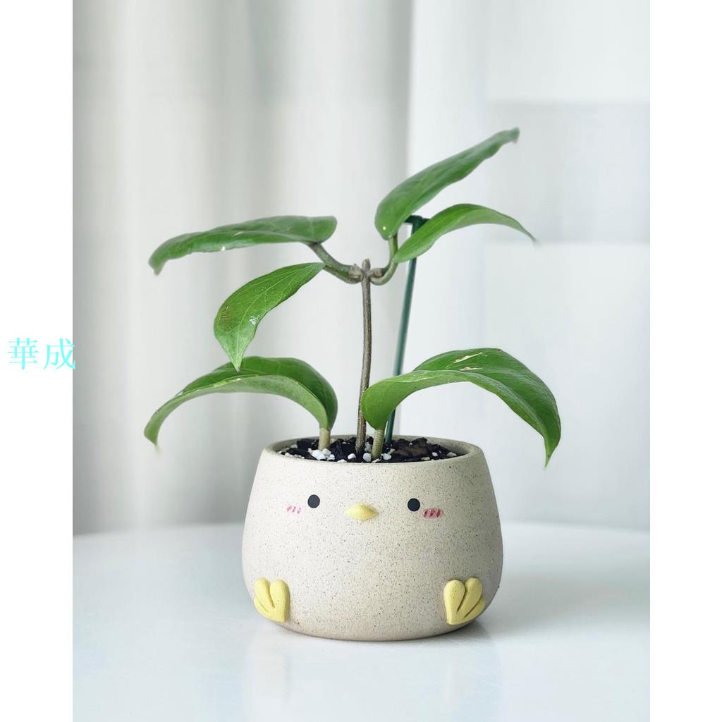 可愛小雞花盆 手工製作盆器 植物綠植花卉容器 家居裝飾盆
