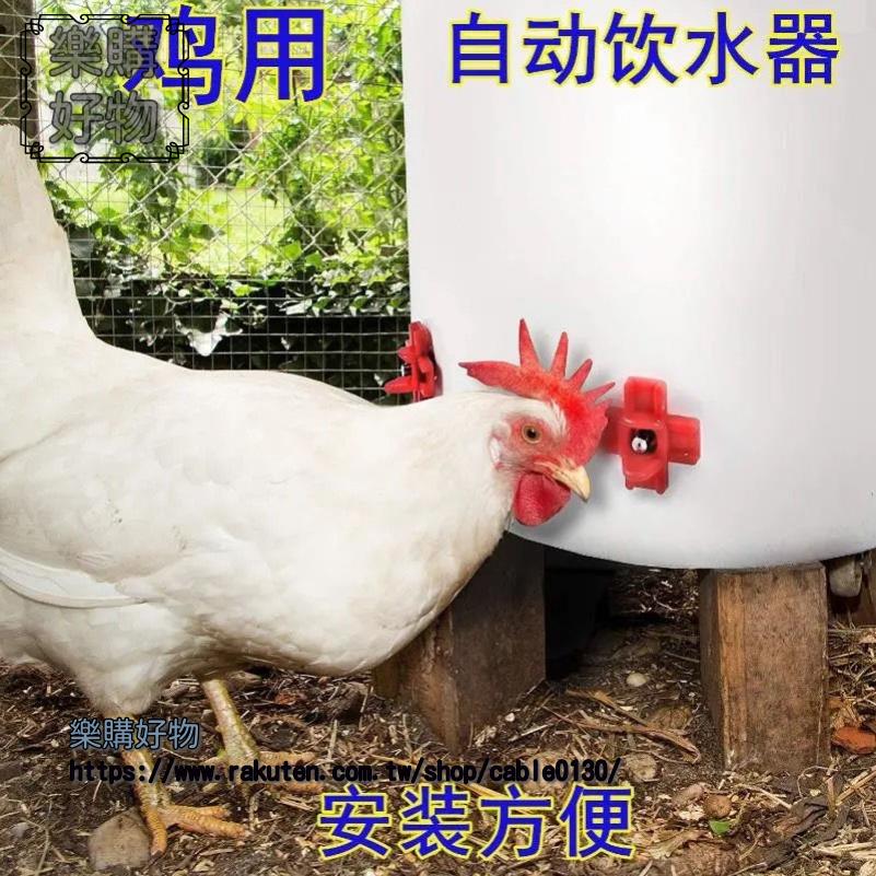 新型雞用飲水器飲水嘴紅頭自動餵水乳頭飲水器養殖設備型水嘴 ※下標滿500出貨哦！