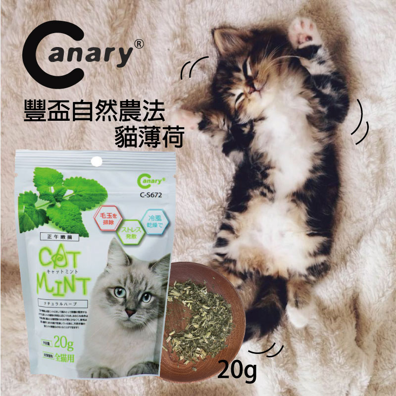 【寵物花園】Canary豐盃自然農法貓薄荷20g🐈 貓大麻 貓草 貓薄荷 興奮
