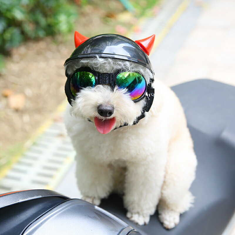 寵物遮陽帽 寵物狗摩托車頭盔機車帽子貓咪安全帽狗狗帽竹蜻蜓搞怪『XY21876』