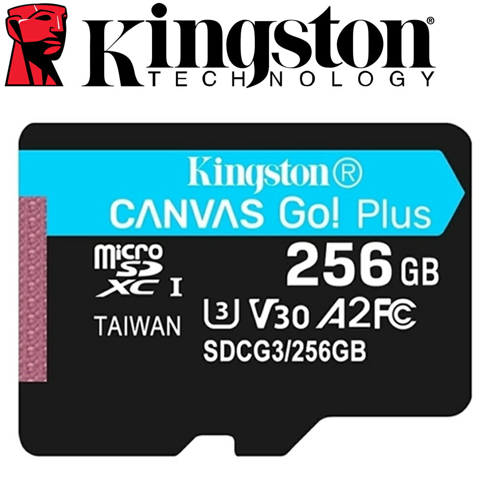Kingston 金士頓 256GB microSDXC TF UHS-I U3 V30 A2 記憶卡 SDCG3/256GB