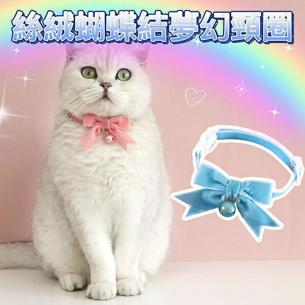 『臺灣x現貨秒出』絲絨蝴蝶結夢幻鈴鐺寵物項圈 貓咪項圈 狗狗項圈 貓咪頸部裝飾 寵物裝扮