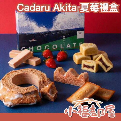 日本 Cadaru Akita 夏莓甜點禮盒 秋田特產 費南雪 年輪蛋糕 草莓 伴手禮 日系禮盒 糕點禮盒 紅茶 送禮推薦