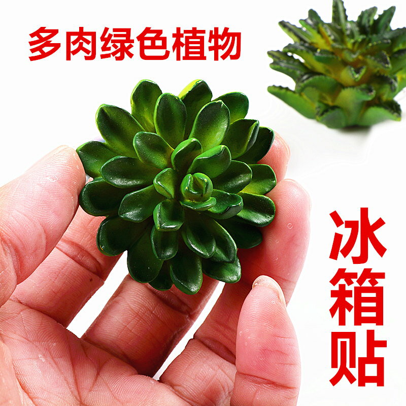 新款模擬多肉植物冰箱貼 磁鐵 立體造型留言條裝飾品
