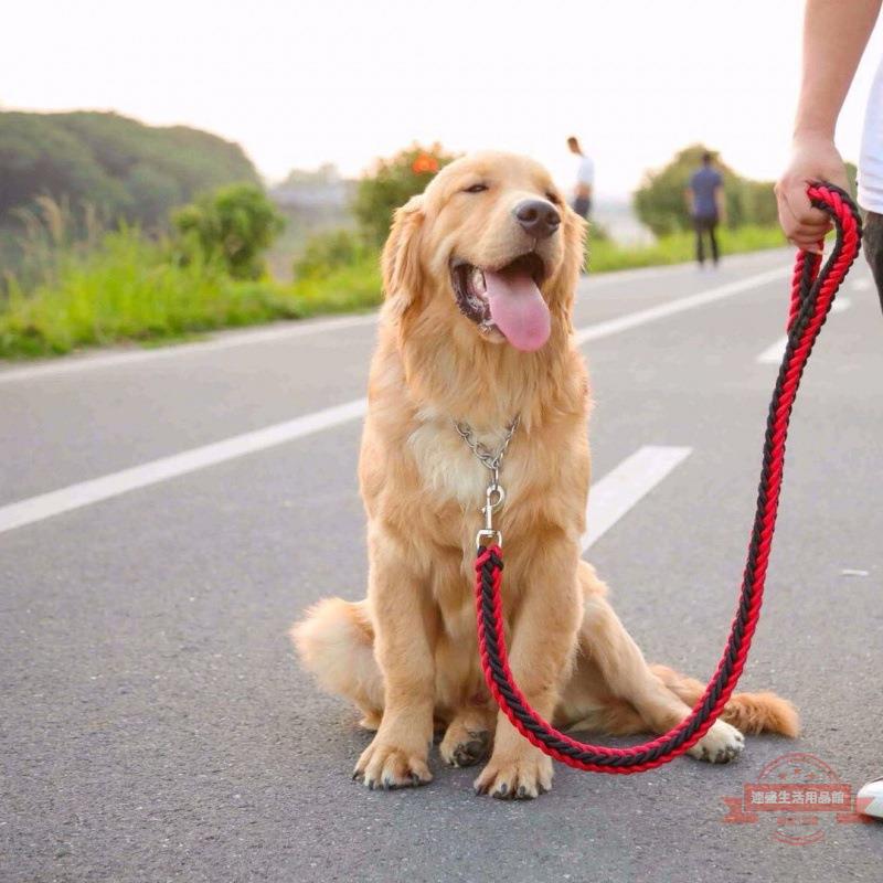 大型犬牽引繩中型狗鏈子狗狗遛狗繩金毛拉布拉多P鏈狗繩寵物用品