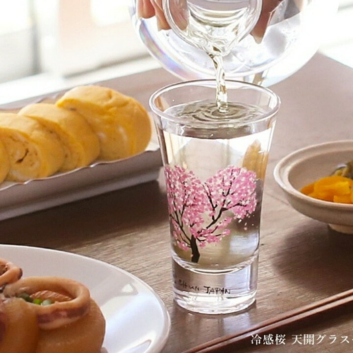 丸モ高木櫻滿開冷酒杯《2入冷感變色 對杯 SHOT杯 清酒杯 丸モ高木陶器 酒器 日本酒器 櫻花杯 酒杯 新婚 喬遷》