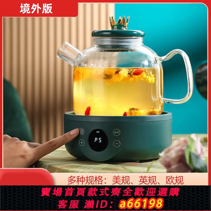 【臺灣公司 可開發票】110v伏電壓養生壺美國出口臺灣加拿大小家電燒水煮茶壺家用多功能