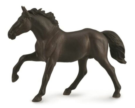 動物模型 Collecta 農聶斯公馬 東喬精品百貨商城 Rakuten樂天市場 動物模型 Collecta 農聶斯公馬 東喬精品百貨商城 Rakuten樂天市場