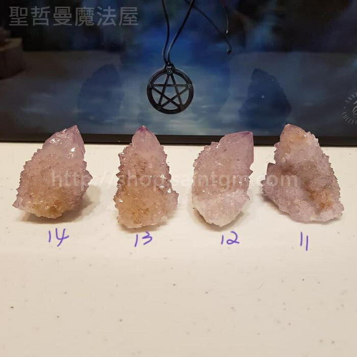 【土桑展精選寶物】仙人掌水晶191204~11-14號(Cactus Quartz) ~南非