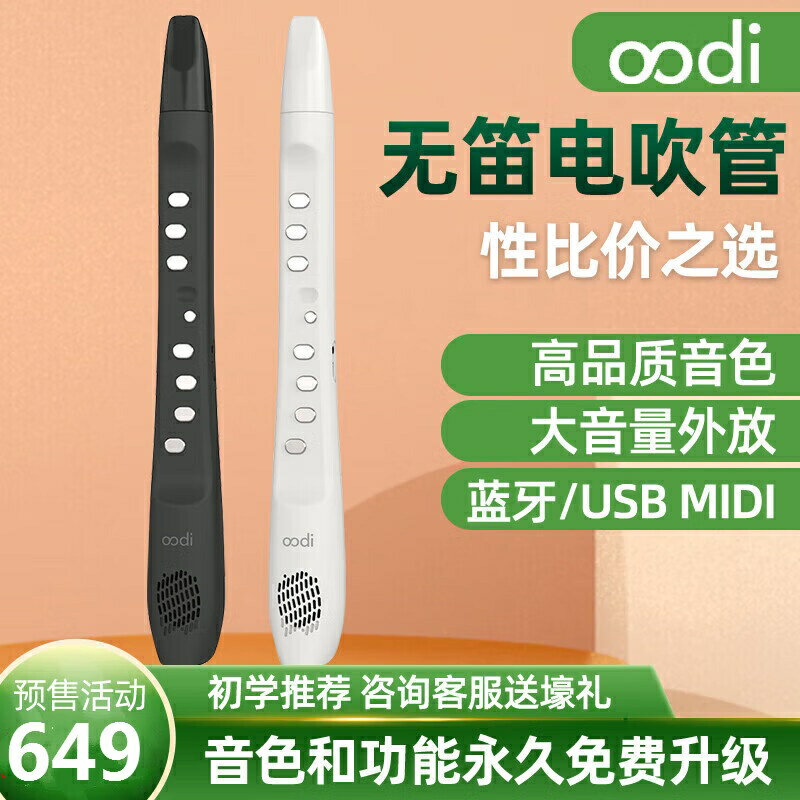 無笛 C1 電吹管2023款初學入門樂器輕便葫蘆絲訂製款 NXIP