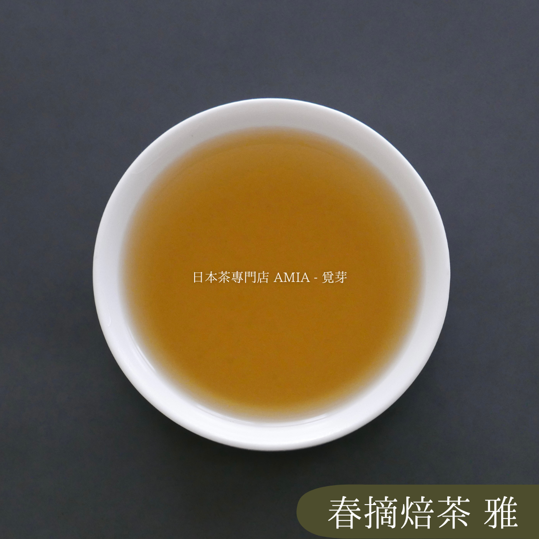 【AMIA 覓芽】春摘焙茶 - 雅 - 2023年 新茶 日本茶 1