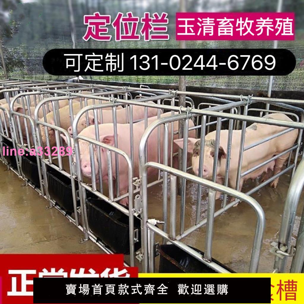 {可開發票}母豬定位欄限位欄加厚2.5國標母豬產床仔豬保育床養豬場畜牧裝置