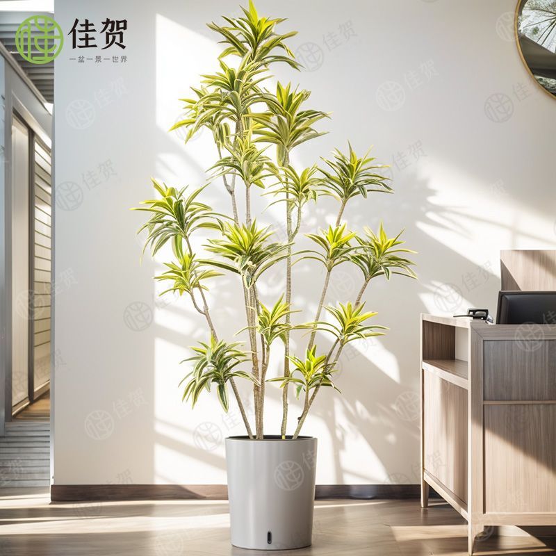 可開票 超低價 免運 金邊百合竹模擬綠植高階輕奢室內仿生植物擺件客廳大型盆栽落地式 快速發貨