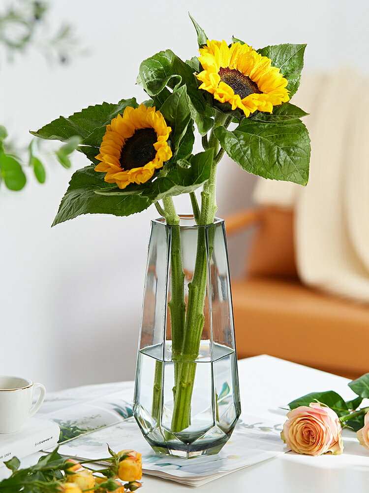 【滿299出貨】創意簡約ins玻璃花瓶透明水養富貴竹百合干鮮花插花北歐花瓶