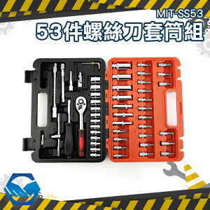 工仔人 螺絲刀套筒組53件 維修工具 板手 套筒 家常套筒 六角扳手 1/4公制套筒 MIT-SS53