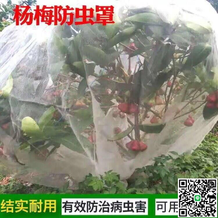 【千羽家居】最低價~果樹防鳥防蟲網 楊梅樹網罩 大棚蓮霧藍莓網 桃樹防鳥網
