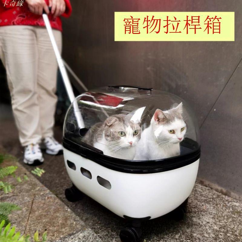 貓包兩只寵物拉桿箱透明貓咪外出包便攜狗包行李箱手提式大容量